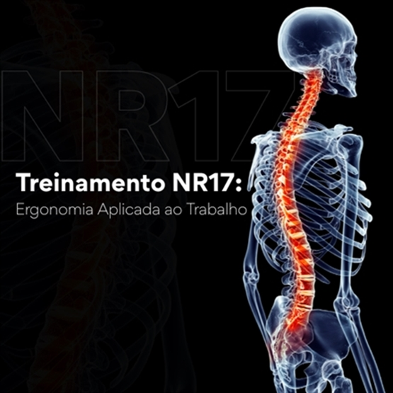 NR17 - Ergonomia Aplicada ao Trabalho